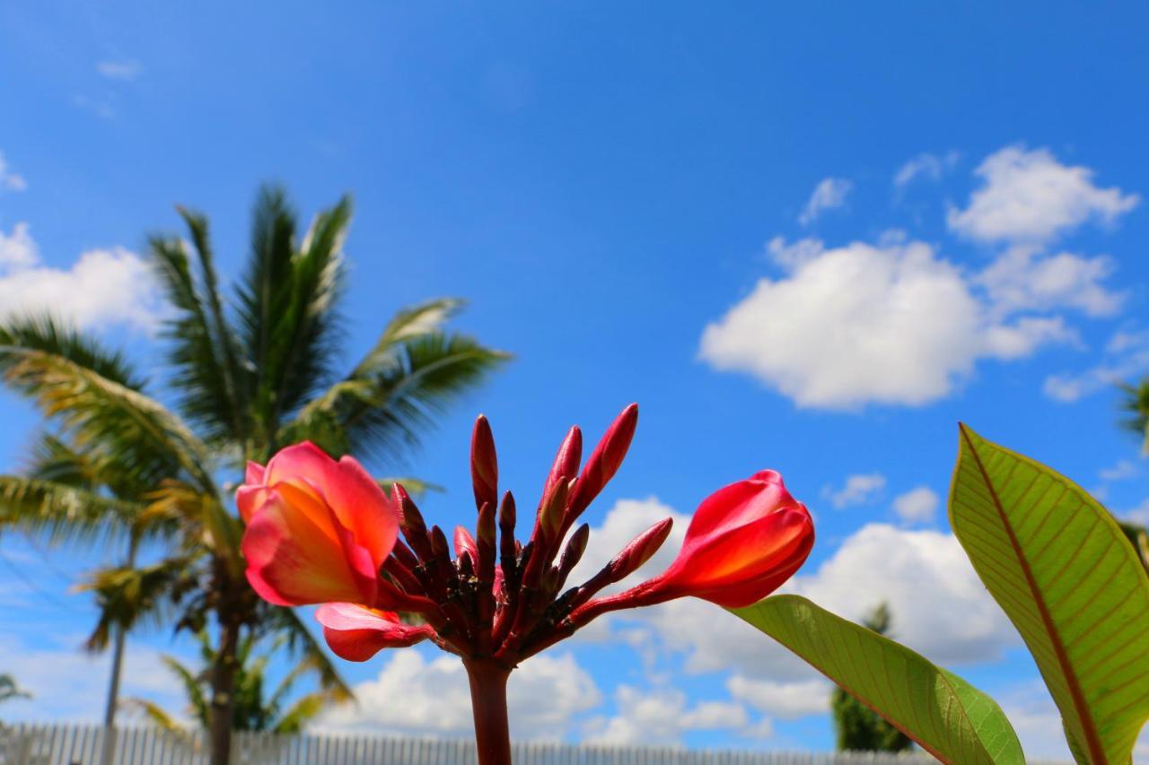 Nadi Fancy Hotel Extérieur photo